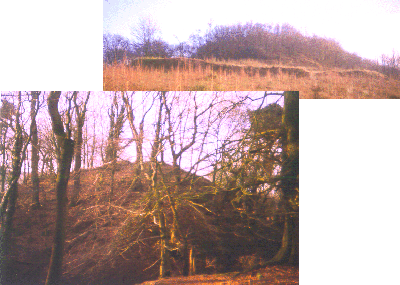 neroche_castle.gif (69341 bytes)